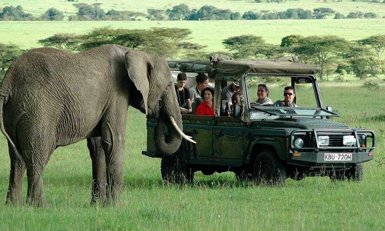 safari in Kenya