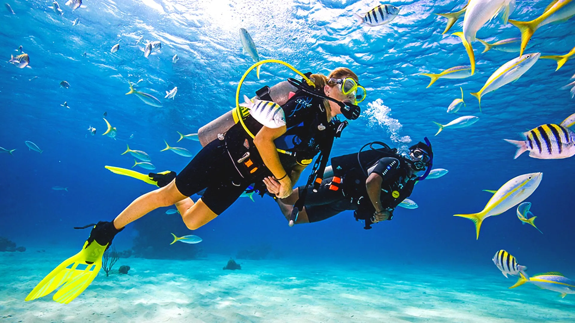 scuba diving destinations