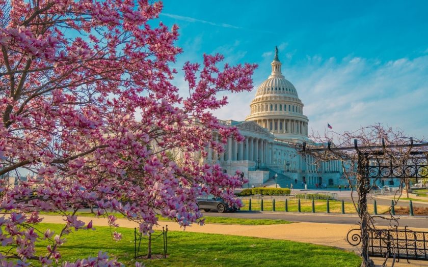 spring flower festivals