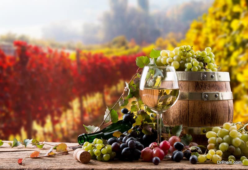 wine regions travel