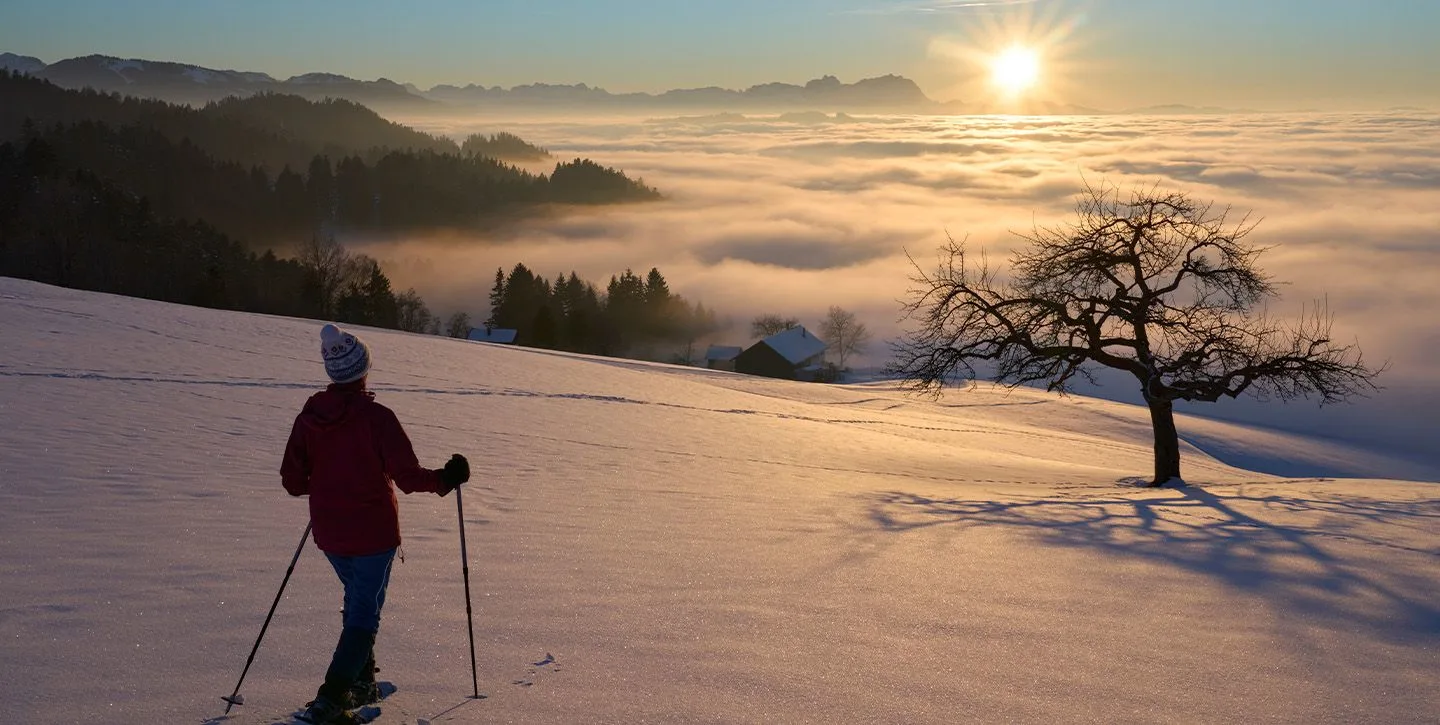 winter destinations snow lovers